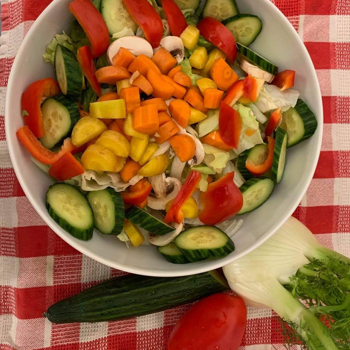 Bunte Salatschüssel mit Gurkenscheiben, Karotten, Paprika, Fenchel und Champignons Chopped Salad mit Gurke, Karotte und Paprika