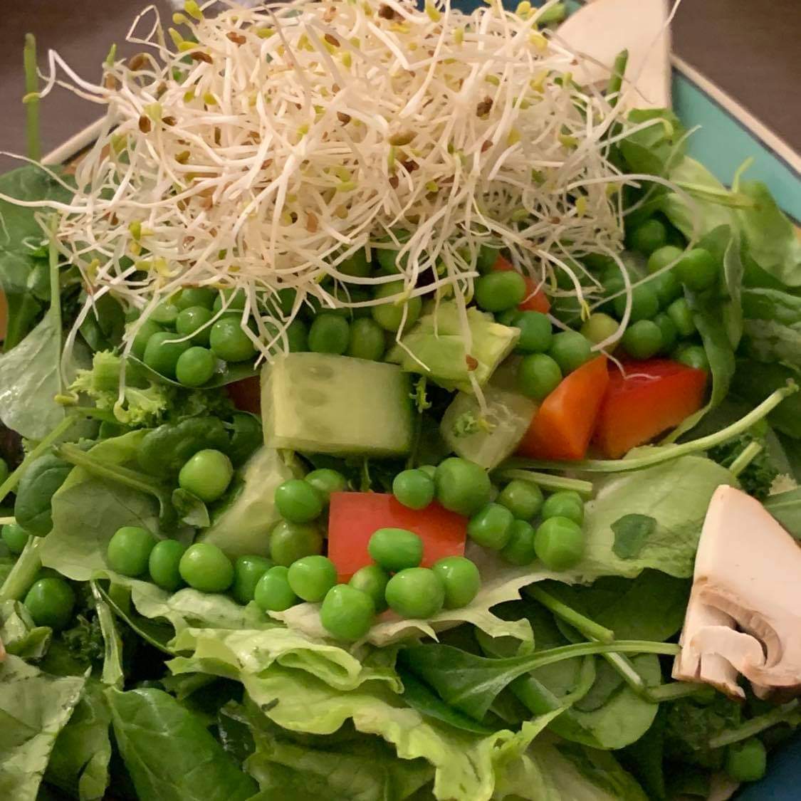 Frischer Blattsalat mit Alfalfa-Sprossen, grünen Erbsen, Gurke und Paprika Grüner Salat mit Sprossen, Erbsen und Gurke