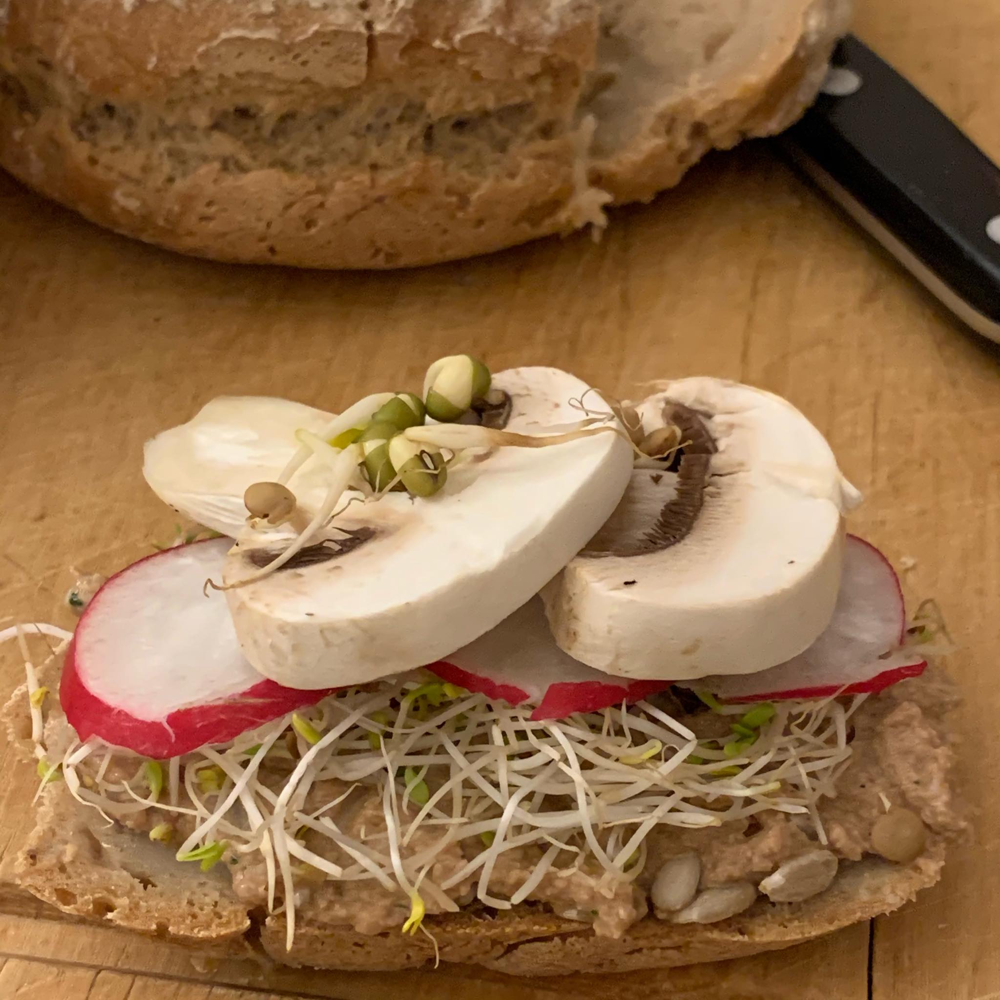 Vollkornbrot mit Aufstrich, Sprossen, Radieschenscheiben und frischen Champignons Offenes Sandwich mit Sprossen, Radieschen und Champignons